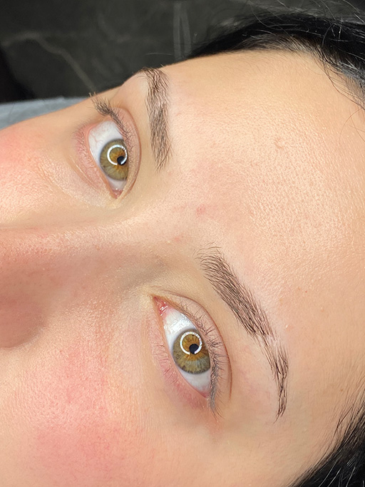 ebru-uzundag-microblading-before